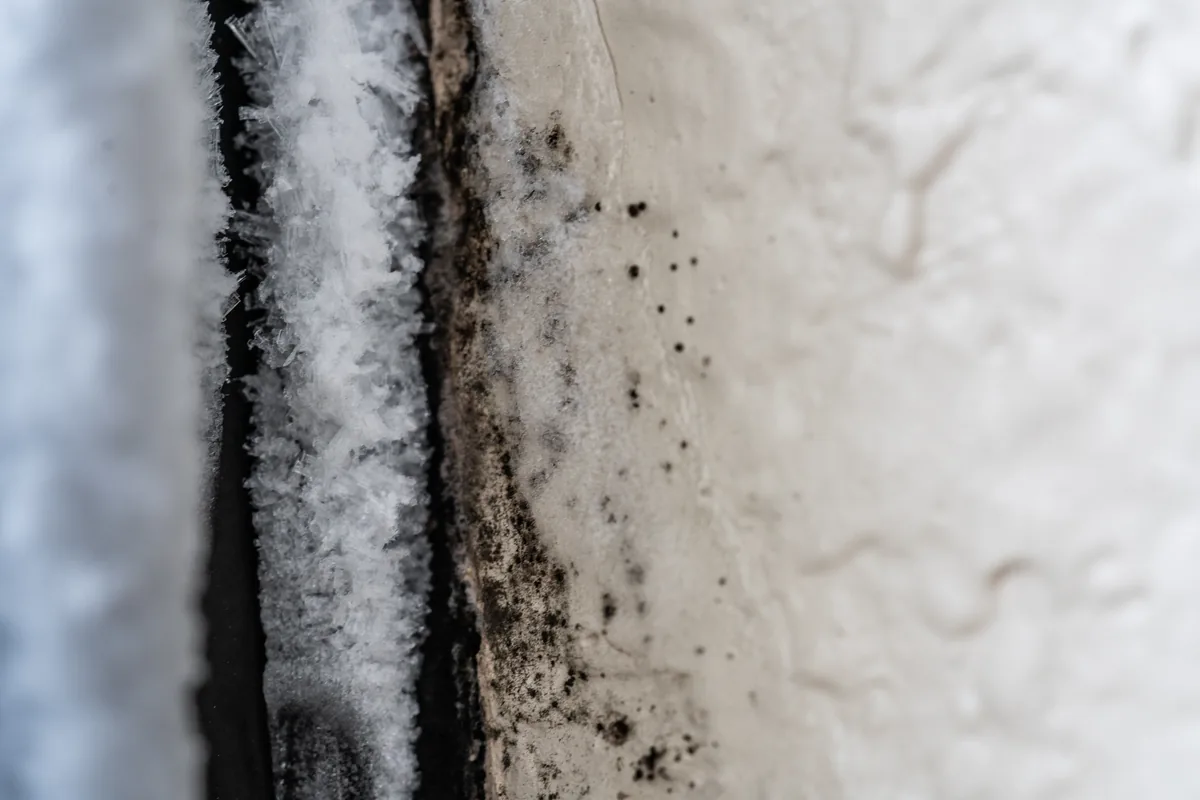 Mold and condensation along a window frame and sill